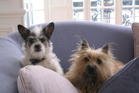 ������� ��������� ����������