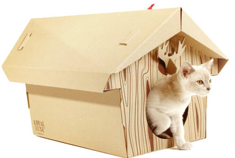 �������� ������� ��� ����