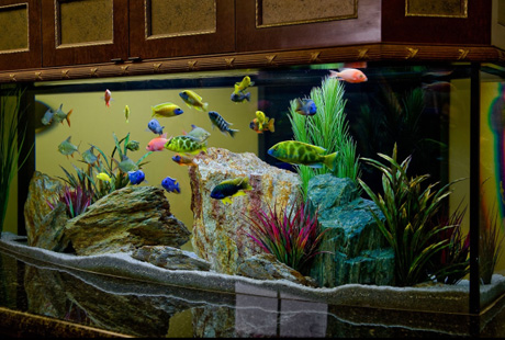 ������������ ���