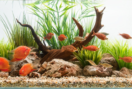 ������������ ���