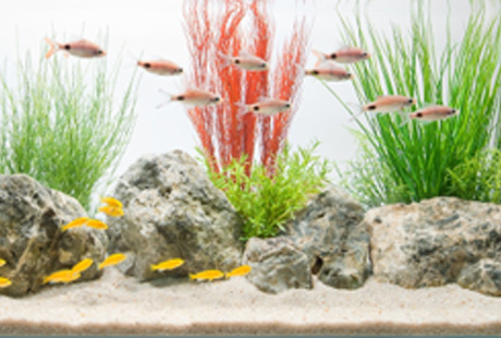 ������������ ���