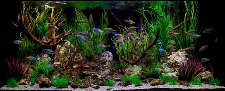 ������������ ���