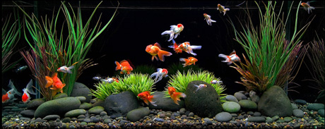 ������������ ���