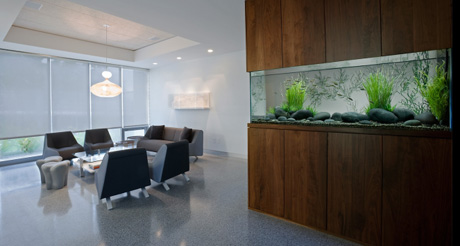 ������������ ���