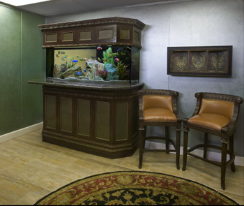 ������������ ���