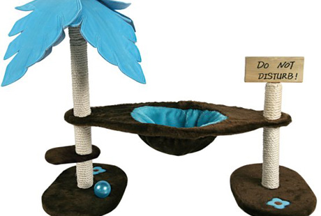 ����������� ������ ��� ����� � �������