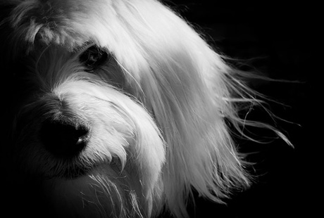 �������� �������� 2010� - ������ �� ������