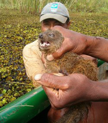 ������ ����� ������������ �����-�����-����