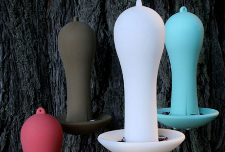 ��������� ����� ��� ����