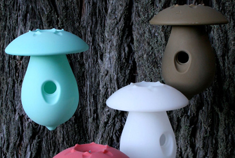 ��������� ����� ��� ����