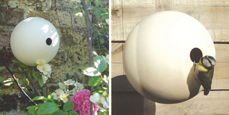 ��������� ����� ��� ����