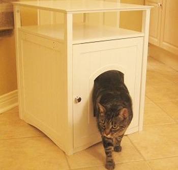 �������� ���... ������ ���������?