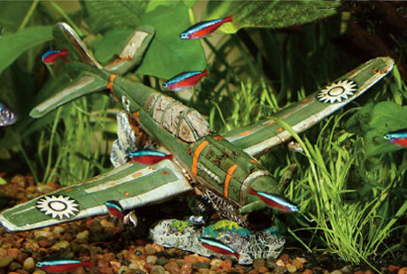 �������� � �����