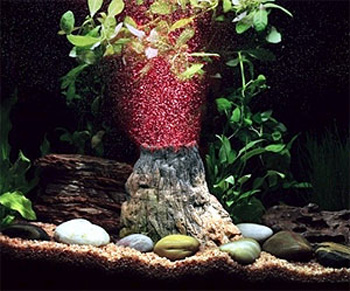 �������� � �����