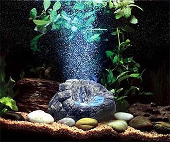 �������� � �����