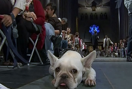 ����� �������� ������������� � �����