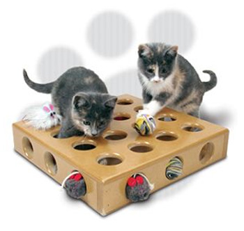 ����-�������