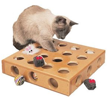 ����-�������