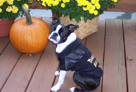 ������� �������� �������� � ��������