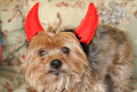 ������� �������� �������� � ��������