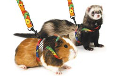 ������� ��� �������� � �������� �������