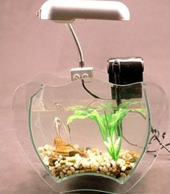 ��������-������