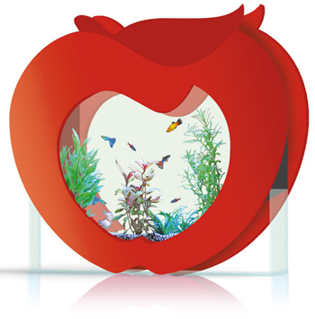 ��������-������