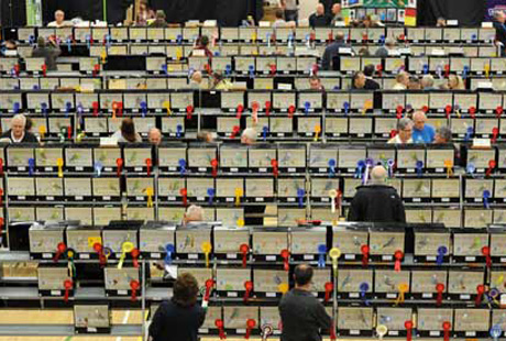 ��� ������� �������� ��������� ������������