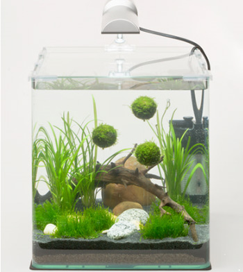 ����-�������