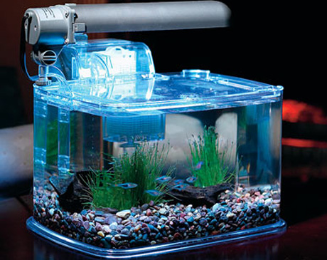 ����-�������