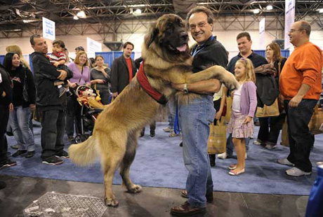 � ���-����� ���������� �������� �����