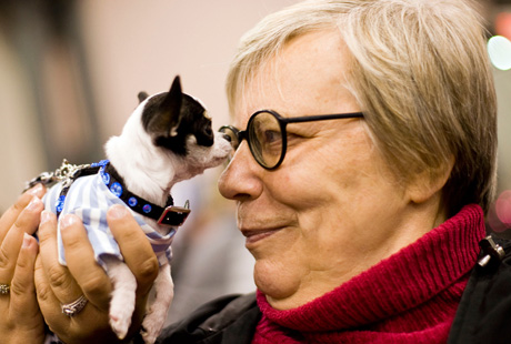 � ���-����� ���������� �������� �����