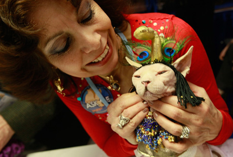 � ���-����� ���������� �������� �����