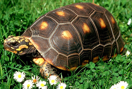 �������� ������ �� ����� �������