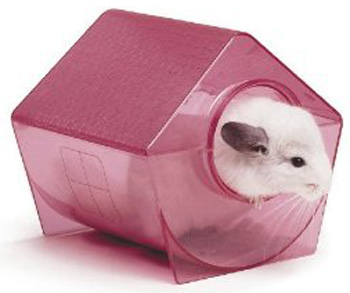 �������� ��� �������