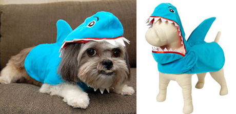 �������� ���� � ���