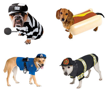 �������� ���� � ���