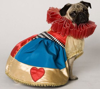 �������� ���� � ���