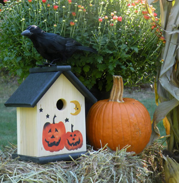 ��������� ������ ��� ����