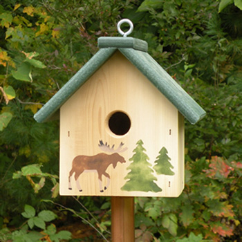 ��������� ������ ��� ����