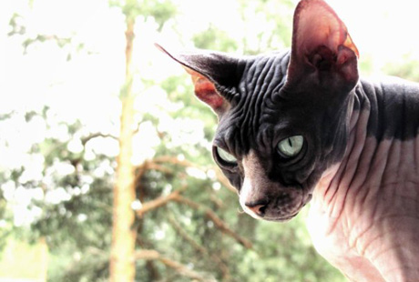 ������������� ���������� ���� � ����� �����