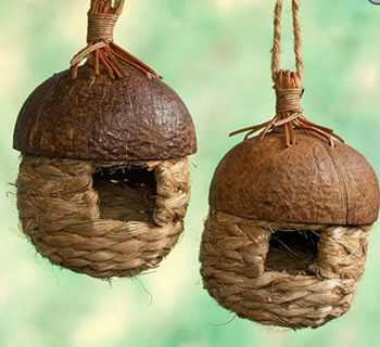 ������ ����