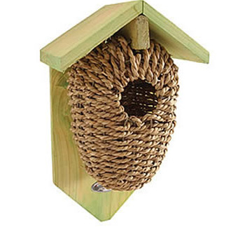 ������ ����