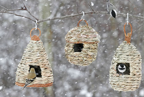 ������ ����