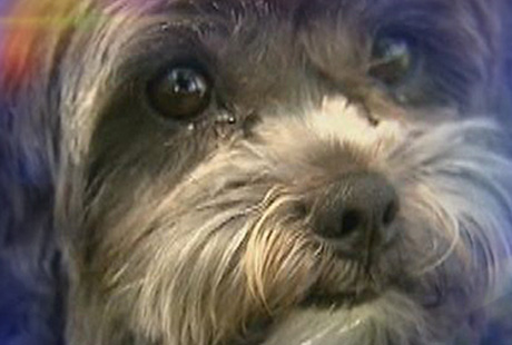 ������ ������� �������� ������� � ����