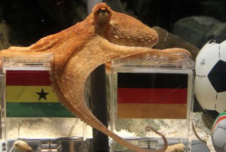 ���������� ��������� � ���������� ������