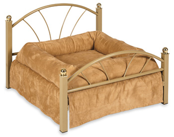 ��������� ����