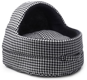 ��������� ����