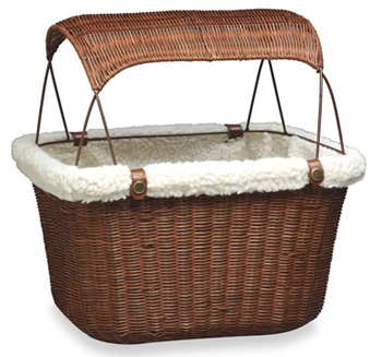 ��������� ����