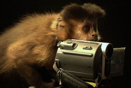 ����� ������� � ���� ���������-���������